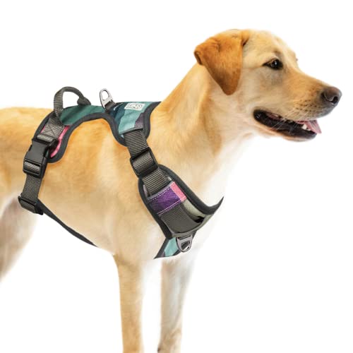 Embark Urban Dog Harness No-Pull Dog Harness for Small Dogs, Medium & Large. 2 Leash Clips, Front & Back with Control Handle, Adjustable Black Dog Vest for Any Breed, Soft & Padded for Comfort