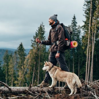 best-dog-harness-for-hiking