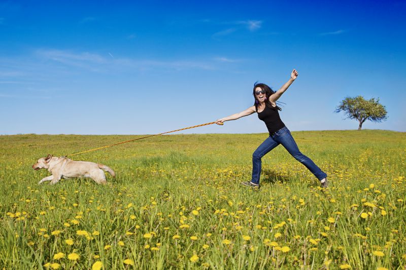 Mistakes when holding dog leash