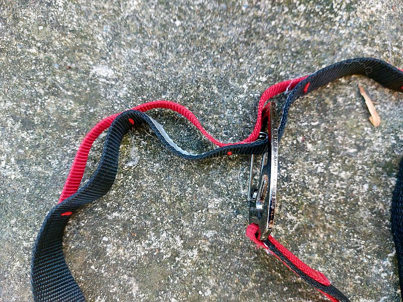hook-and-ladder leash