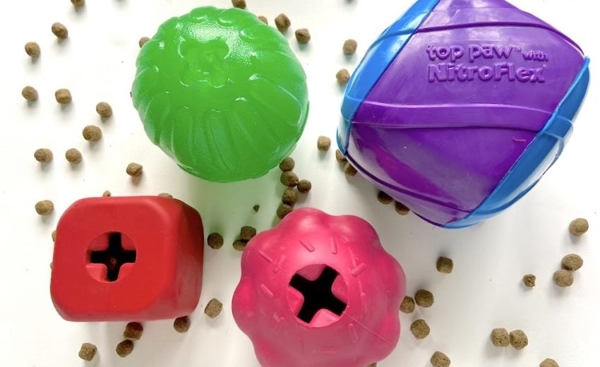 treat-dispensing-balls