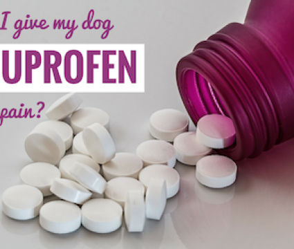 can I give my dog ibprofen for pain
