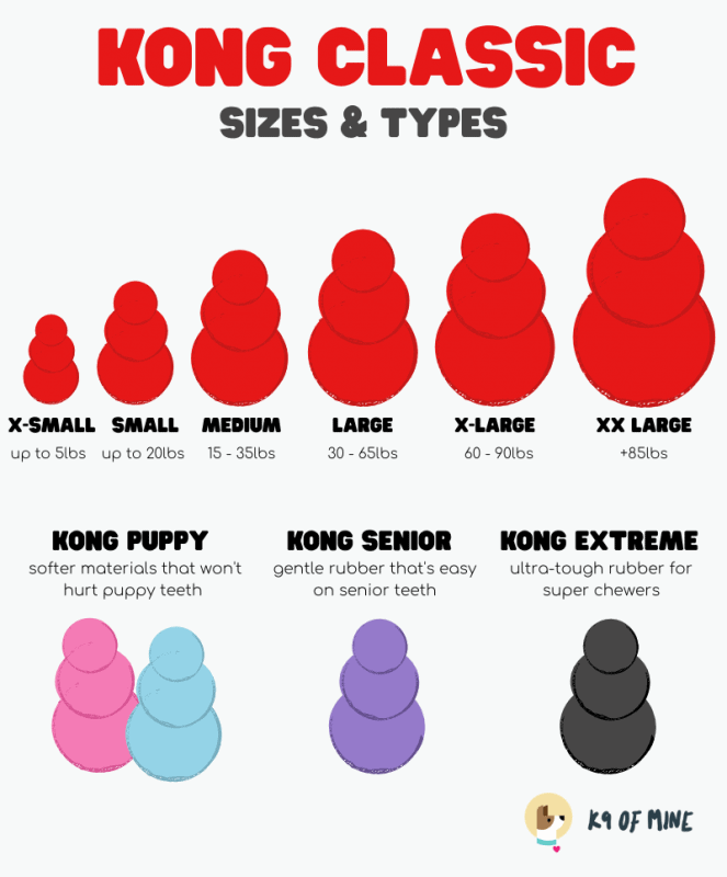 kong-sizes