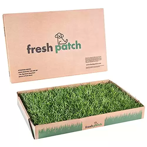 Fresh Patch Real Grass Dog Pee Pad